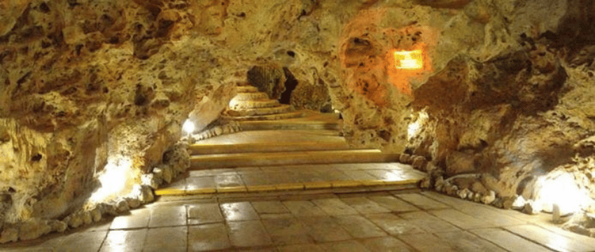 disco-ayala-trinidad